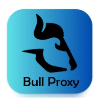 BULL VPN